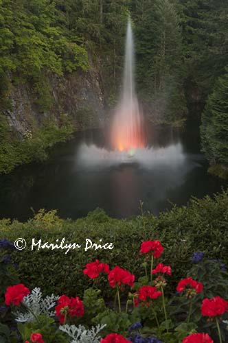 The Ross Fountain is lit at night, Butchart Gardens, Victoria, BC