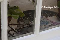 Garden tools, Garden House of private garden, Butchart Gardens, Victoria, BC