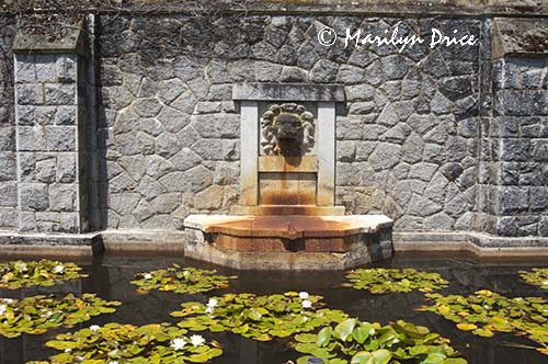 Fountain and waterlily pond, Hatley Castle, Victoria, BC