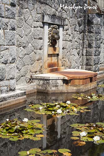 Fountain and waterlily pond, Hatley Castle, Victoria, BC