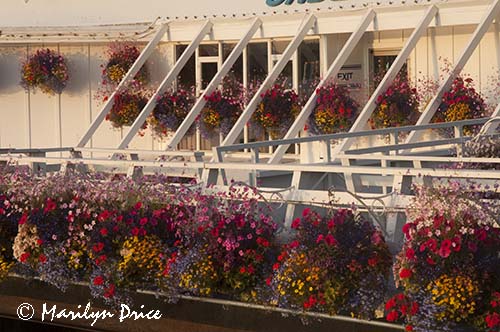 Flower baskets decorate the entrance to the Underwater Gardens, Victoria, BC