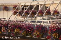 Flower baskets decorate the entrance to the Underwater Gardens, Victoria, BC