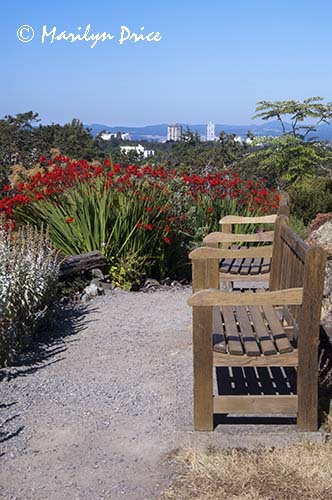 Victoria skyline from Government House, Victoria, BC