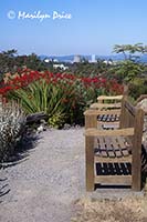 Victoria skyline from Government House, Victoria, BC