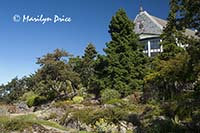 Terrace garden, Government House, Victoria, BC