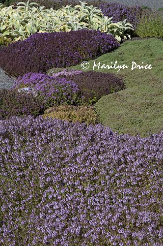 Herb Garden, grounds of Government House, Victoria, BC