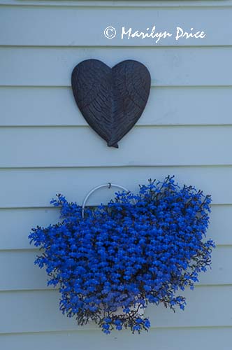Flowerbasket and heart on a houseboat, Fisherman's Wharf, Victoia, BC