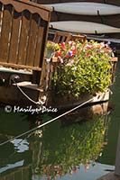 Sweetpeas and reflections, a houseboat, Fisherman's Wharf, Victoria, BC