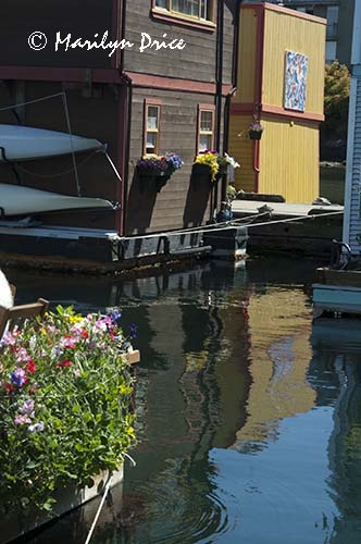 Houseboats and reflections, Fisherman's Wharf, Victoia, BC