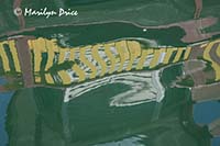 Reflections, Fisherman's Wharf, Victoria, BC