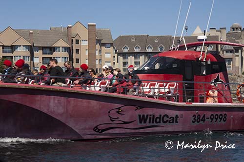 Whale watching boat leaves the inner harbor, Victoria, BC
