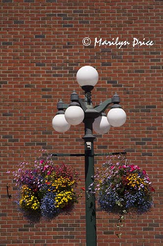 Lamppost and flowerbaskets, Victoria, BC