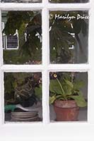 Garden tools, Garden House of private garden, Butchart Gardens, Victoria, BC