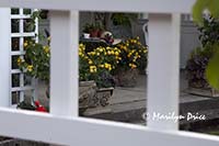 Ready for a tea break after gardening, Garden House of private garden, Butchart Gardens, Victoria, BC
