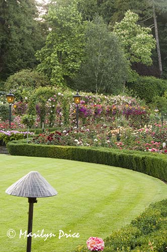 Arbor, Rose Garden, Butchart Gardens, Victoria, BC