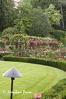 Arbor, Rose Garden, Butchart Gardens, Victoria, BC