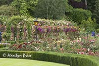 Arbor, Rose Garden, Butchart Gardens, Victoria, BC