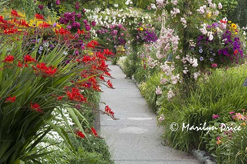 Path through the Rose Garden, Butchart Gardens, Victoria, BC
