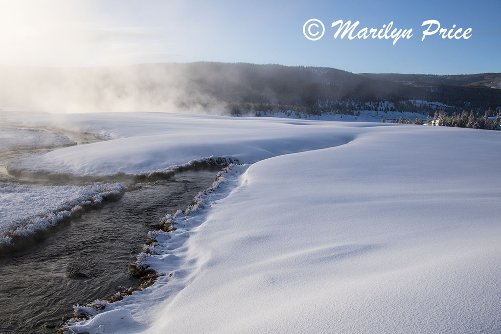 Steam and a stream, Terrace Spring thermal area, Yellowstone National Park, WY