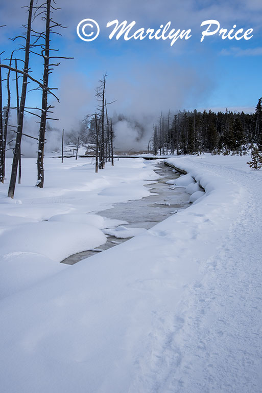 Runoff from the thermal features at Fountain Paint Pots, Yellowstone National Park, WY