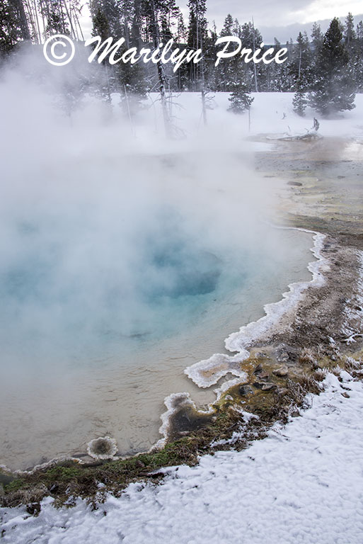 The Fountain Paint Pot, Fountain Paint Pots, Yellowstone National Park, WY