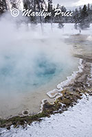 The Fountain Paint Pot, Fountain Paint Pots, Yellowstone National Park, WY