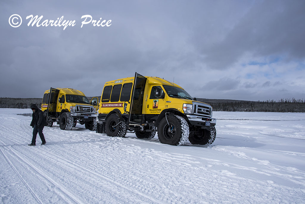 Our snow coaches, Gibbon Meadows, Yellowstone National Park, WY