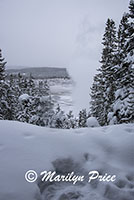 Looking at Norris Geyser Basin through the trees from the parking area, Yellowstone National Park, WY