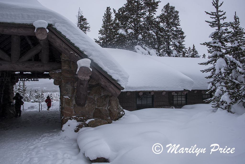Ranger Museum, Norris Geyser Basin, Yellowstone National Park, WY