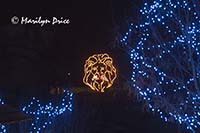 Zoo Lights at Christmas, Denver Zoo, Denver, CO