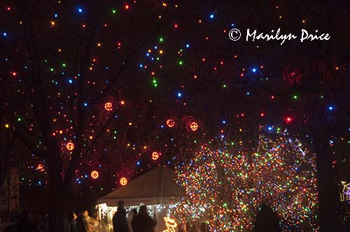 Zoo Lights at Christmas, Denver Zoo, Denver, CO