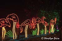 Zoo Lights at Christmas, Denver Zoo, Denver, CO