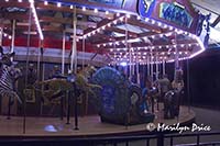 Zoo Lights at Christmas, Denver Zoo, Denver, CO