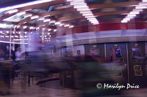 Zoo Lights at Christmas, Denver Zoo, Denver, CO