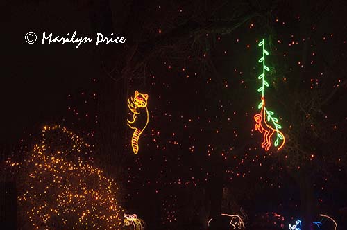 Zoo Lights at Christmas, Denver Zoo, Denver, CO