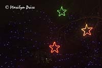 Zoo Lights at Christmas, Denver Zoo, Denver, CO