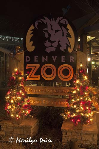 Zoo Lights at Christmas, Denver Zoo, Denver, CO