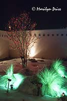 Christmas lights at the Denver Botanic Gardens, Denver, CO