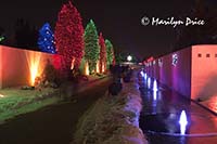 Christmas lights at the Denver Botanic Gardens, Denver, CO