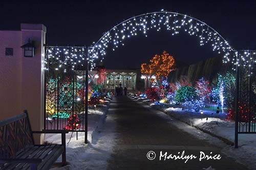 Christmas lights at the Denver Botanic Gardens, Denver, CO