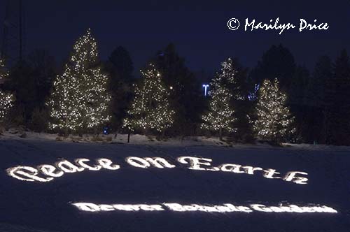 Christmas lights at the Denver Botanic Gardens, Denver, CO