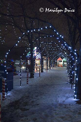 Christmas decorations at City Hall, Westminster, CO