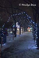Christmas decorations at City Hall, Westminster, CO