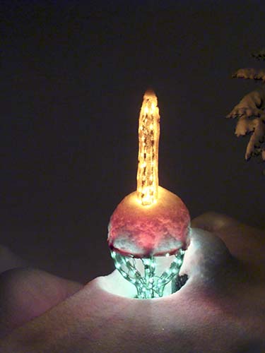 Christmas bubble light on our snowy deck, Westminster, CO