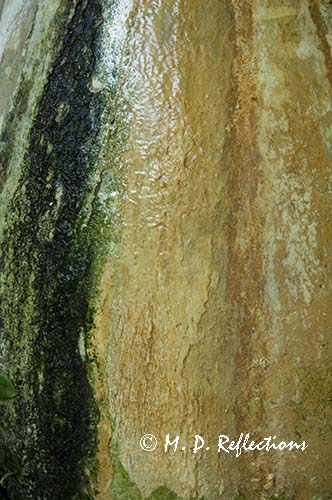 Wet urn, part of a fountain at Hemingway House, Key West, FL