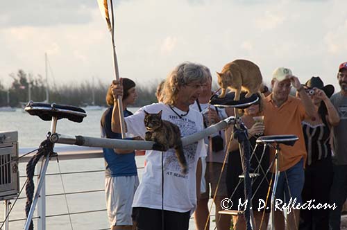 Dominique and his Flying House Cats, Mallory Square, Key West, FL