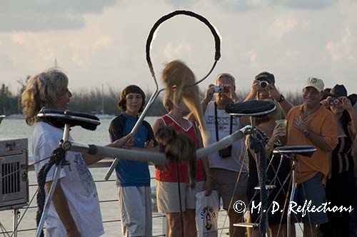 Dominique and his Flying House Cats, Mallory Square, Key West, FL