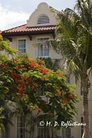 Facade of the Flagler Hotel with a Royal Poinciana Tree (Delonix regia) or Flame Tree, Key West, FL