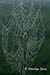 Dewy spider web