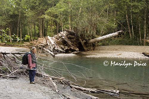 Bill looks at flood damage on the Ohanapecosh River
